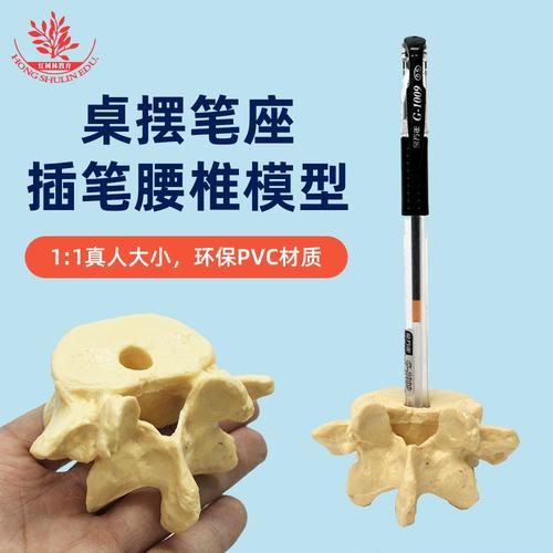 腰椎模型筆座 醫學與時尚的跨界融合